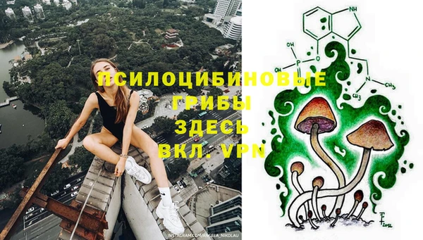 МДПВ Ладушкин