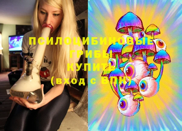 МДПВ Ладушкин