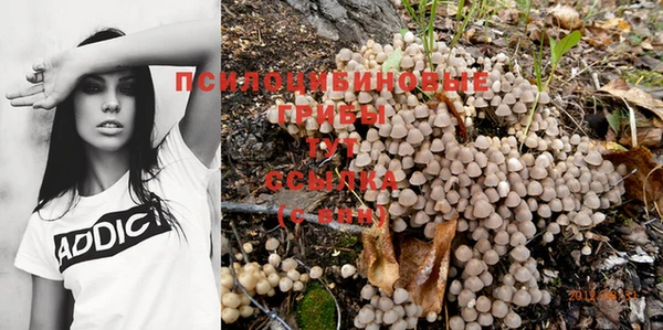 прущие грибы Лагань