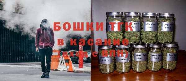 прущие грибы Лагань