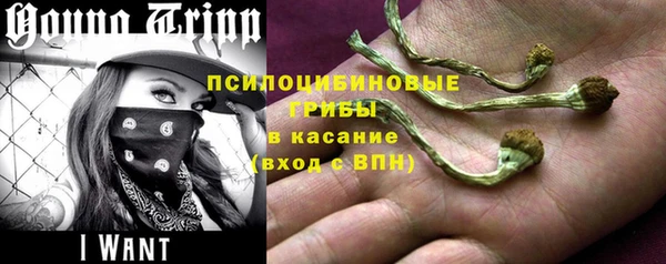 прущие грибы Лагань