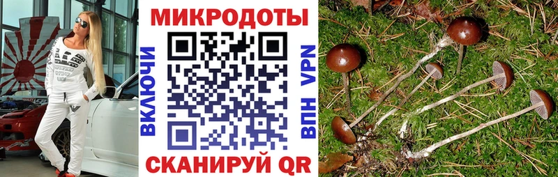 как найти закладки гидра как войти Псилоцибиновые грибы MAGIC MUSHROOMS Ливны